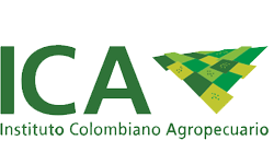 ICA - Cannagustin