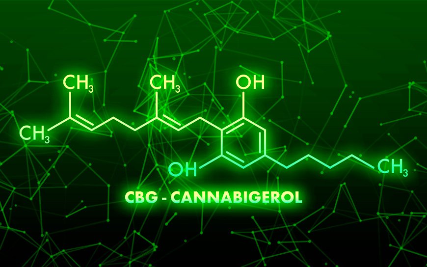 Cannabigerol CBG Descubre uno de los cannabinoides recientemente más estudiados - Cannagustin