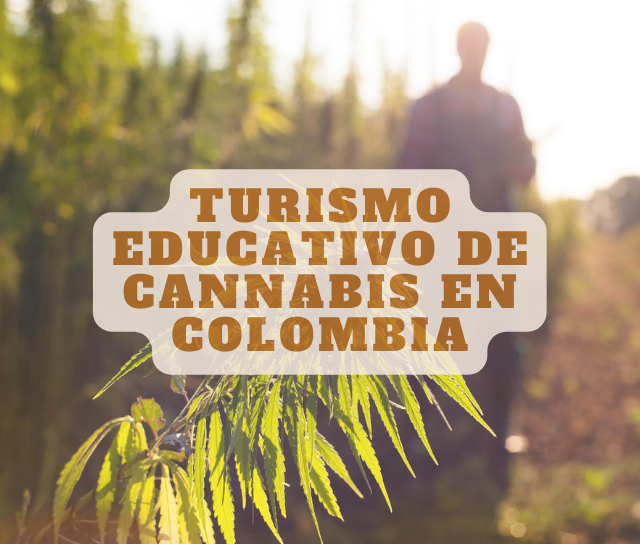 Turismo educativo de Cannabis en Colombia