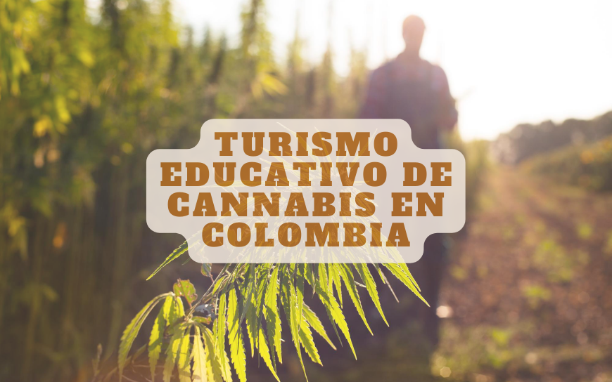 Turismo educativo de Cannabis en Colombia - Cannagustin